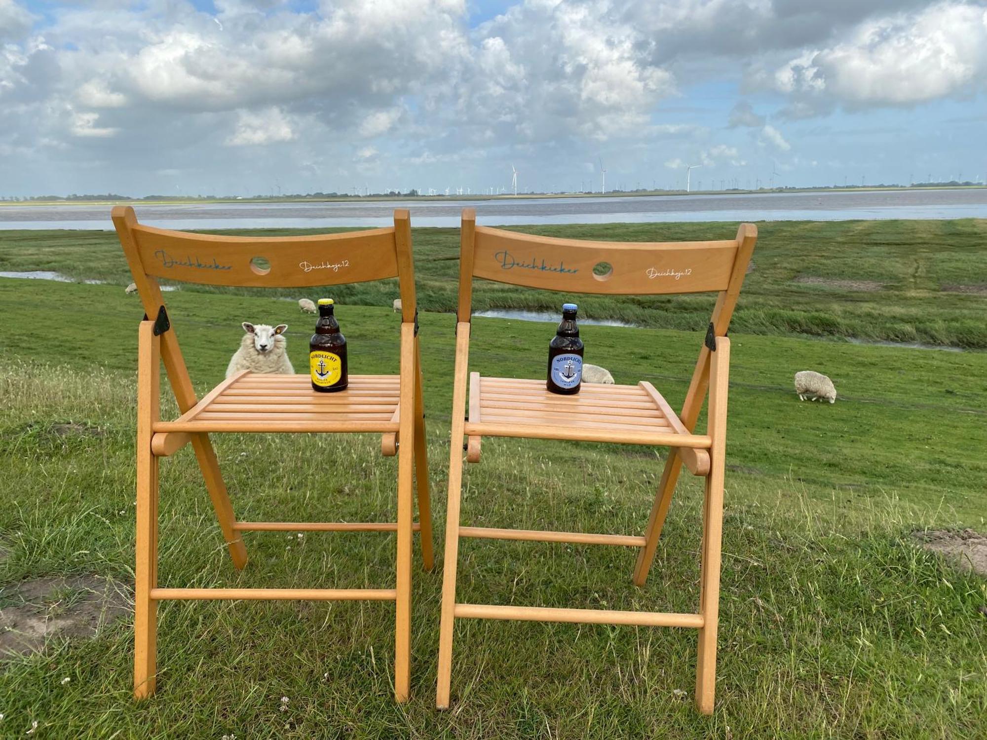 Deichkoje12 Direkt Am Eiderdeich Nur 7 Km Bis Zur Nordsee Und 20 Min Bis Sankt Peter Ording Tönning Exteriör bild